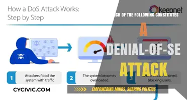 Understanding Denial-of-Service Attacks: What Constitutes an Attack?