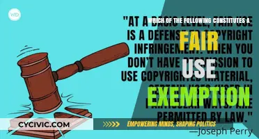 Understanding Fair Use Exemptions: What Constitutes Them?