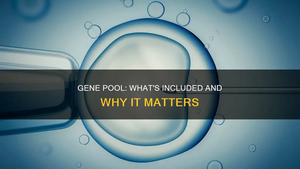 which of the following constitutes a gene pool