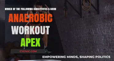 Anaerobic Workouts: What Makes Them Effective?