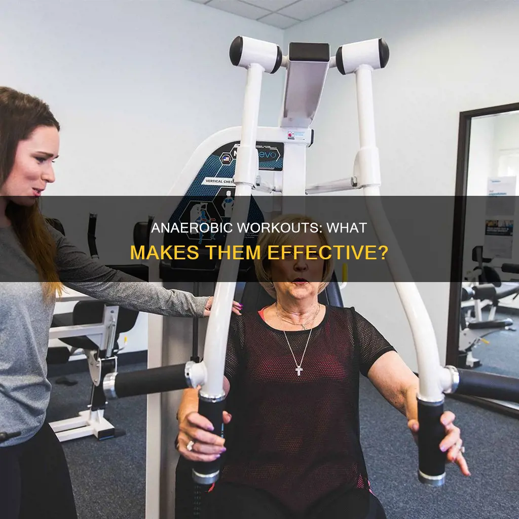 which of the following constitutes a good anaerobic workout apex