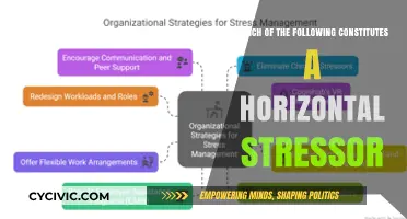 Understanding Horizontal Stressors: What Constitutes Them?