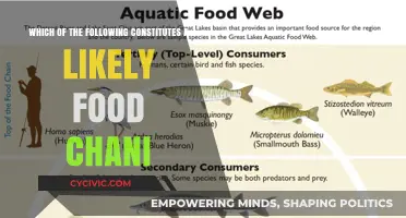 Food Chain Fundamentals: What Constitutes a Likely Link?