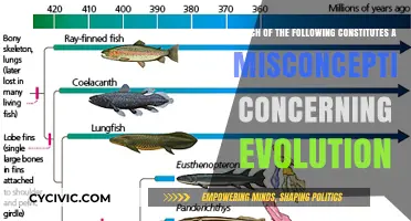 Misconceptions About Evolution: What You Need to Know