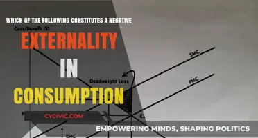 Consumption's Negative Externalities: Who Pays the Price?