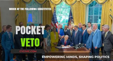 Pocket Veto: Understanding the Unspoken Rejection