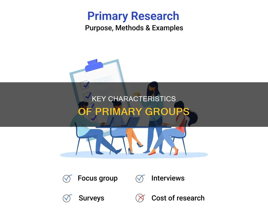 which of the following constitutes a primary group