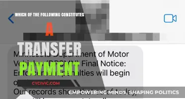 Transfer Payments: What Constitutes Them?