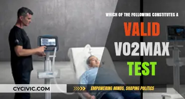 VO2 Max Test: What Constitutes Validity?