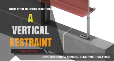 Vertical Restraints: Understanding Anti-Competitive Business Practices