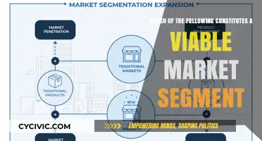 How to Identify a Viable Market Segment