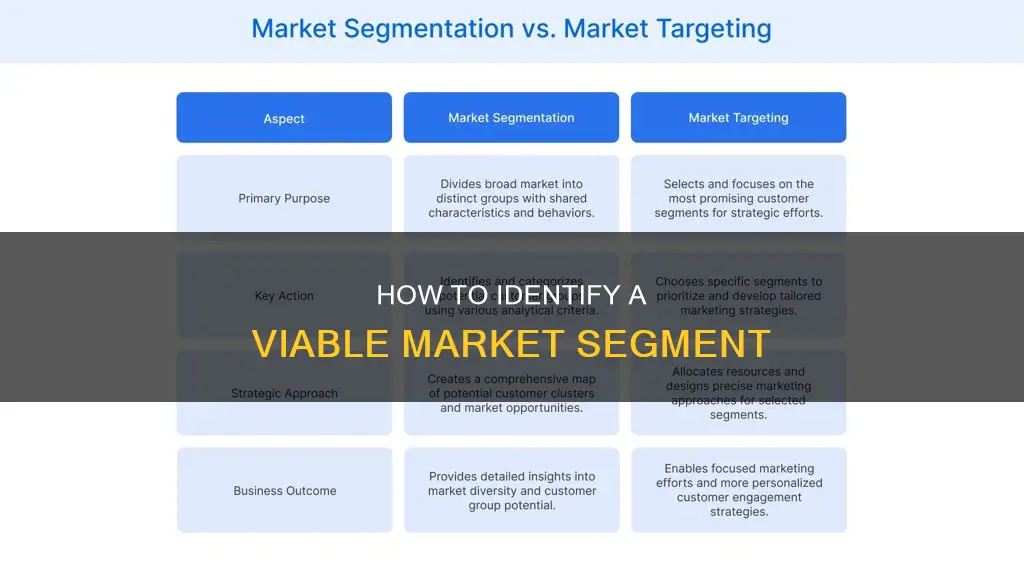 which of the following constitutes a viable market segment