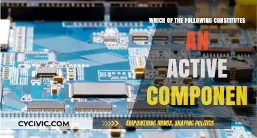 Active Components: What Makes Them Essential?