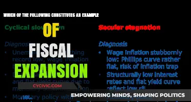 Fiscal Expansion: Examples of Government Spending