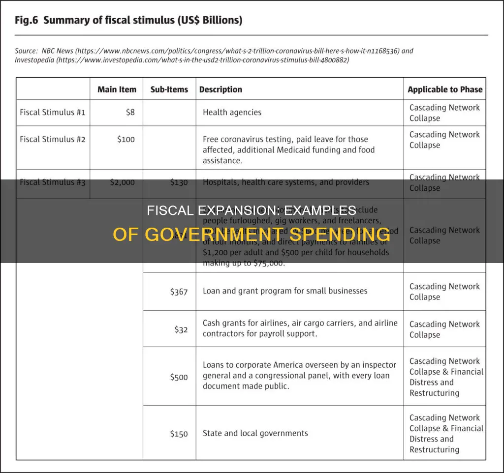 which of the following constitutes an example of fiscal expansion