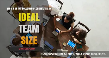 Teamwork Triumphs: Optimal Group Sizes for Success