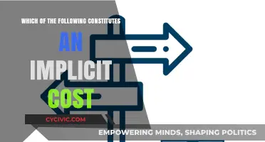 Understanding Implicit Costs: What Constitutes an Implicit Cost?