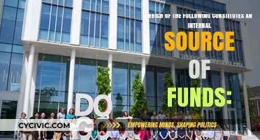 Internal Sources of Funds: What Constitutes Them?
