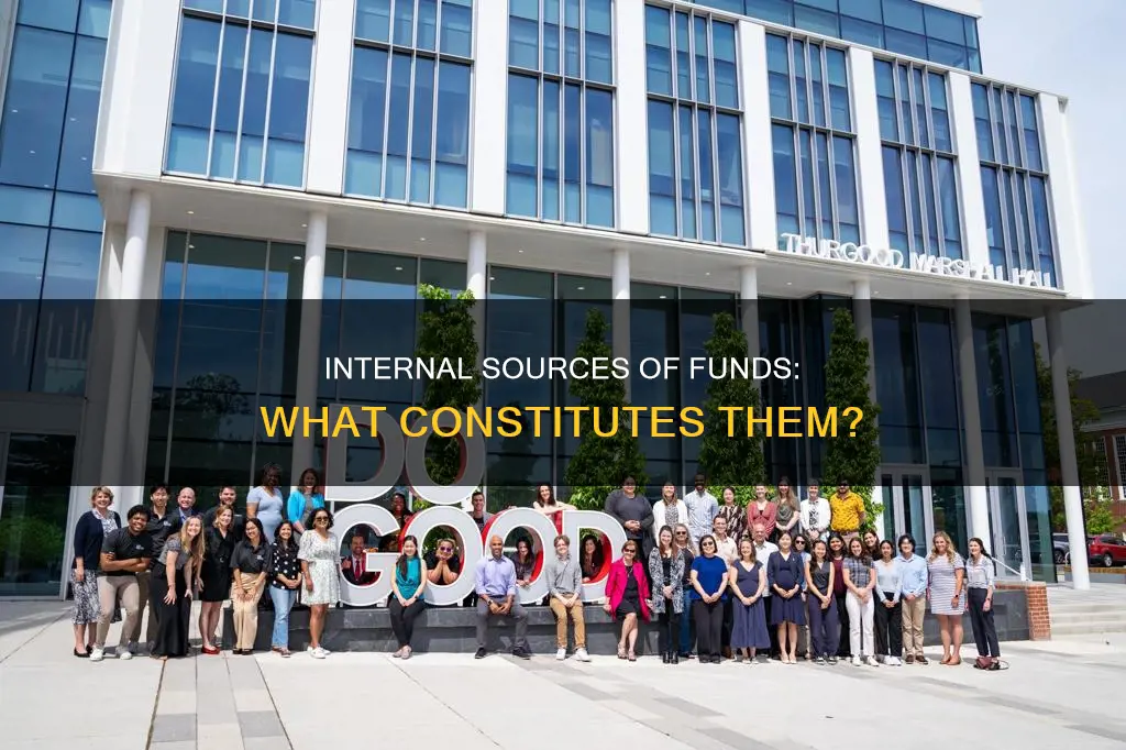 which of the following constitutes an internal source of funds: