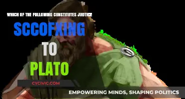 Justice According to Plato: Key Principles