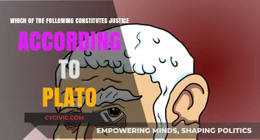 Plato's Vision of Justice: Key Principles