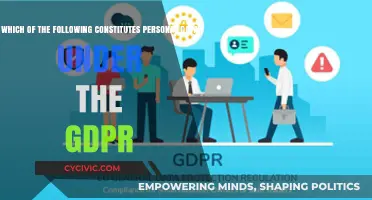 What is Personal Data Under GDPR?
