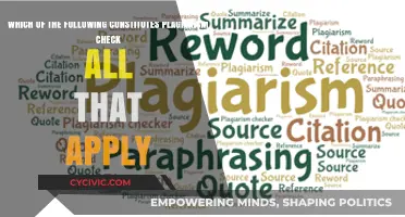 Plagiarism: What Constitutes Academic Theft?