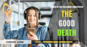 The Good Death: What Constitutes a Peaceful Passing