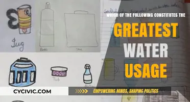 Water Usage: Where Does It All Go?