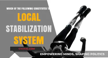 Stabilization System: Local Components and Their Function