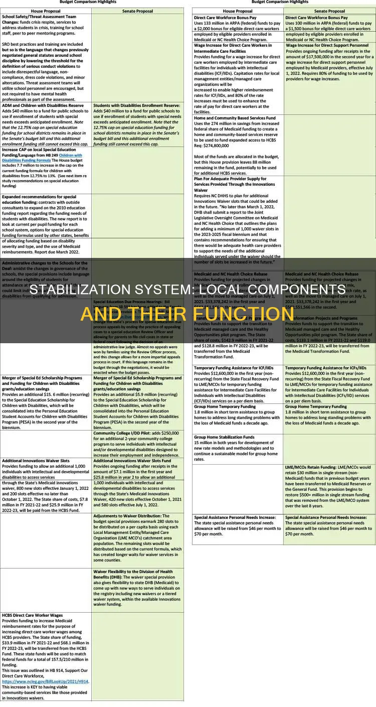 which of the following constitutes the local stabilization system