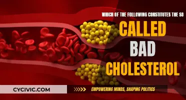 Understanding Bad Cholesterol: What Constitutes High LDL?