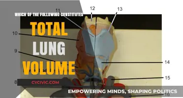 Understanding Lung Volume: What's Included?
