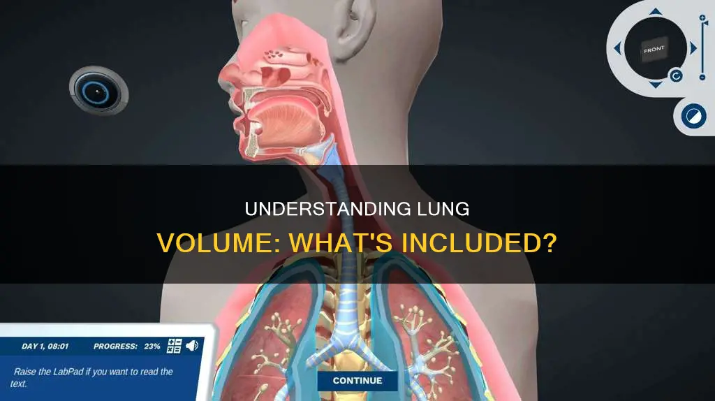 which of the following constitutes total lung volume