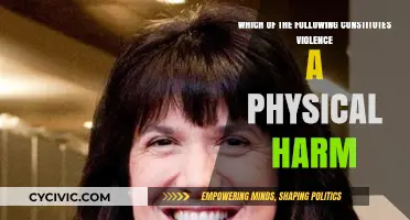 Understanding Violence: Beyond Physical Harm