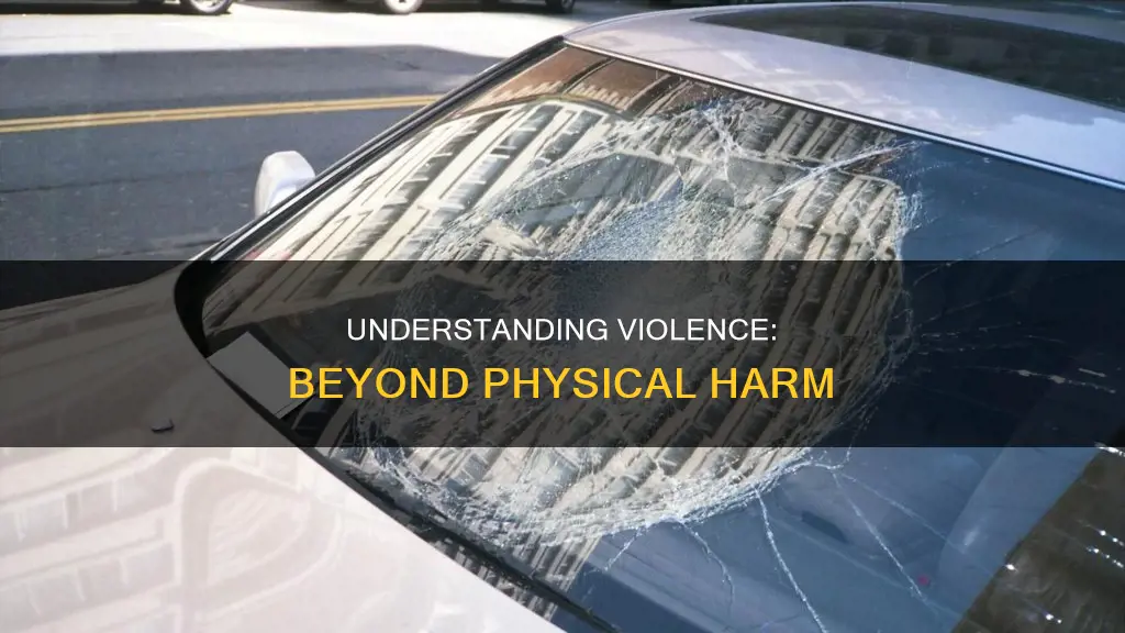 which of the following constitutes violence a physical harm