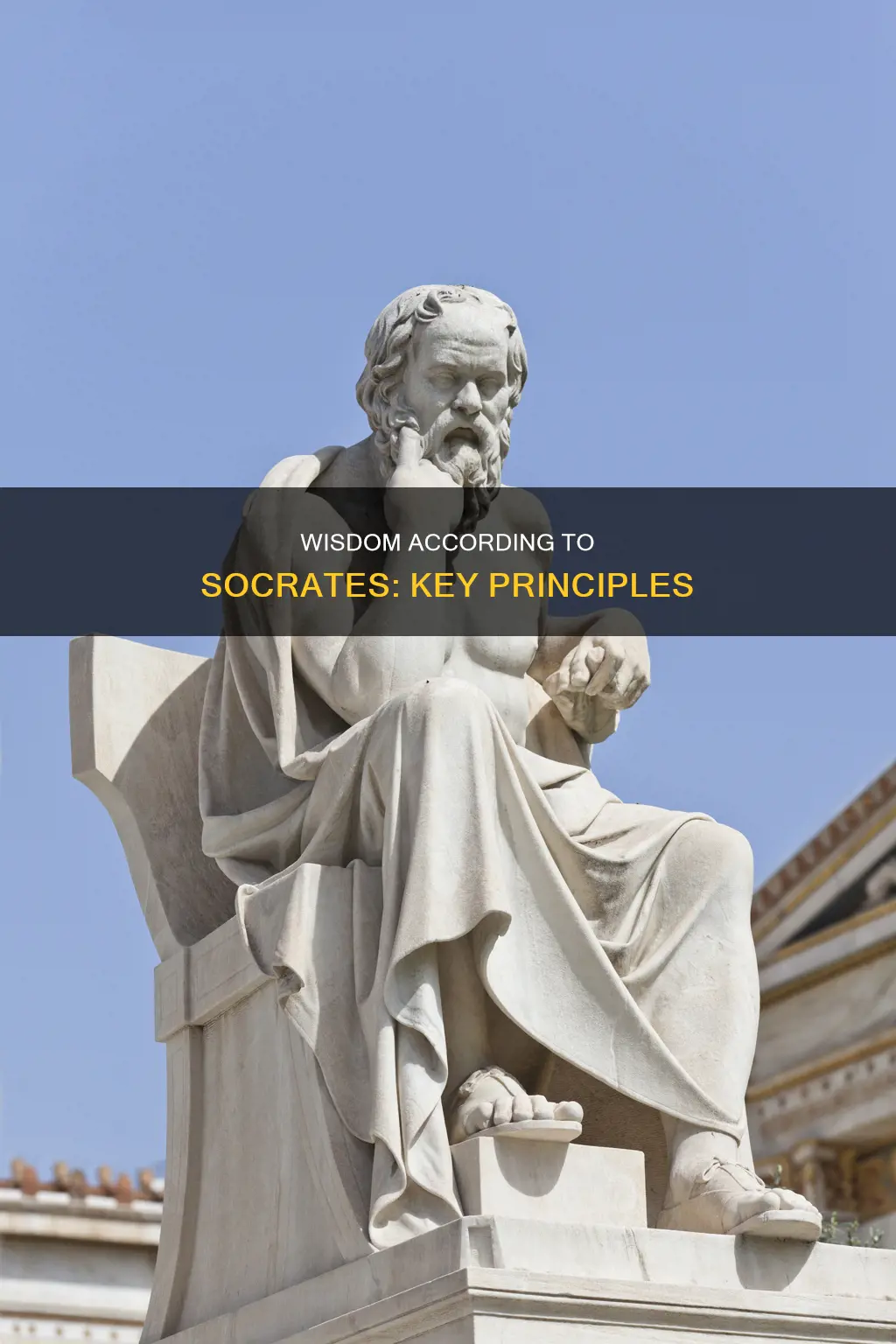 which of the following constitutes wisdom according to socrates