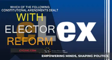 Electoral Reform Amendments: Constitutional Changes Explored