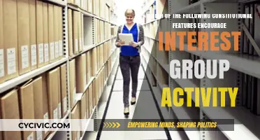 Constitutional Features: Interest Group Activity Encouraged