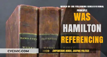 Hamilton's Vision: Constitutional Principles Explored