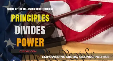 Dividing Powers: The Constitution's Guiding Principles