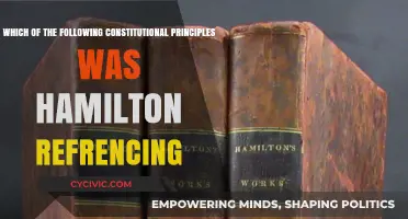 Hamilton's Constitutional Principles: Which Ones?