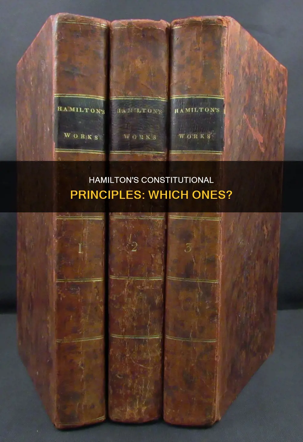 which of the following constitutional principles was hamilton refrencing