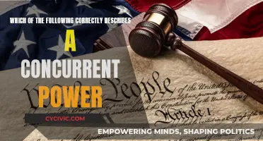 Exploring Concurrent Powers: Understanding Shared Responsibilities