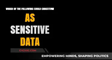 Protecting Personal Information: What Constitutes Sensitive Data?
