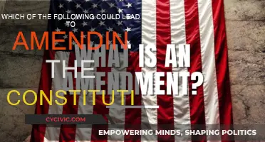 Amending the Constitution: What Triggers a Change?