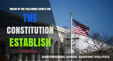 The Constitution's Established Courts: Exploring the Framework
