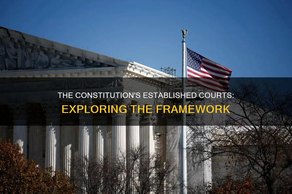 which of the following courts did the constitution establish