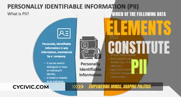 Understanding PII: What Data Elements Are Considered Personally Identifiable?