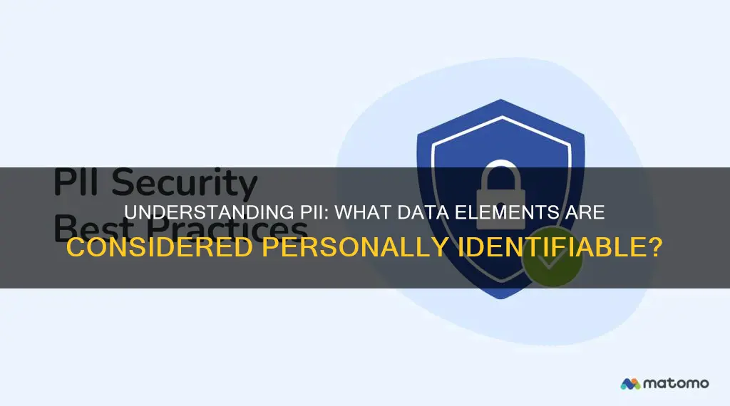 which of the following data elements constitute pii